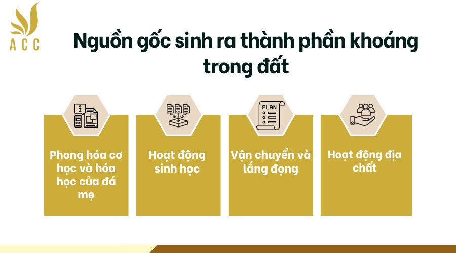 Nguồn gốc sinh ra thành phần khoáng trong đất là gì