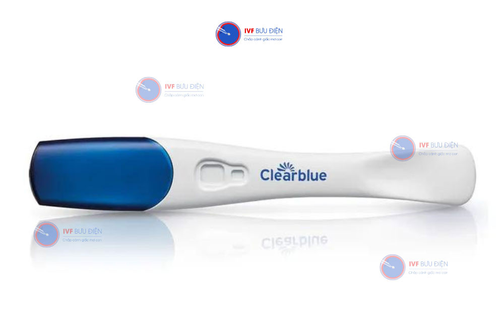 Mô tả các yếu tố ảnh hưởng đến sự phát triển của noãn
