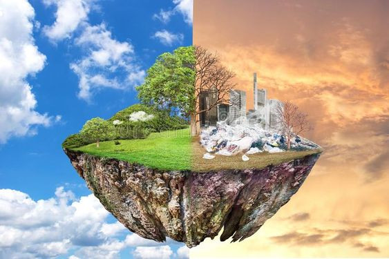 Ô nhiễm môi trường đất ảnh hưởng đến sức khỏe con người và sinh vật