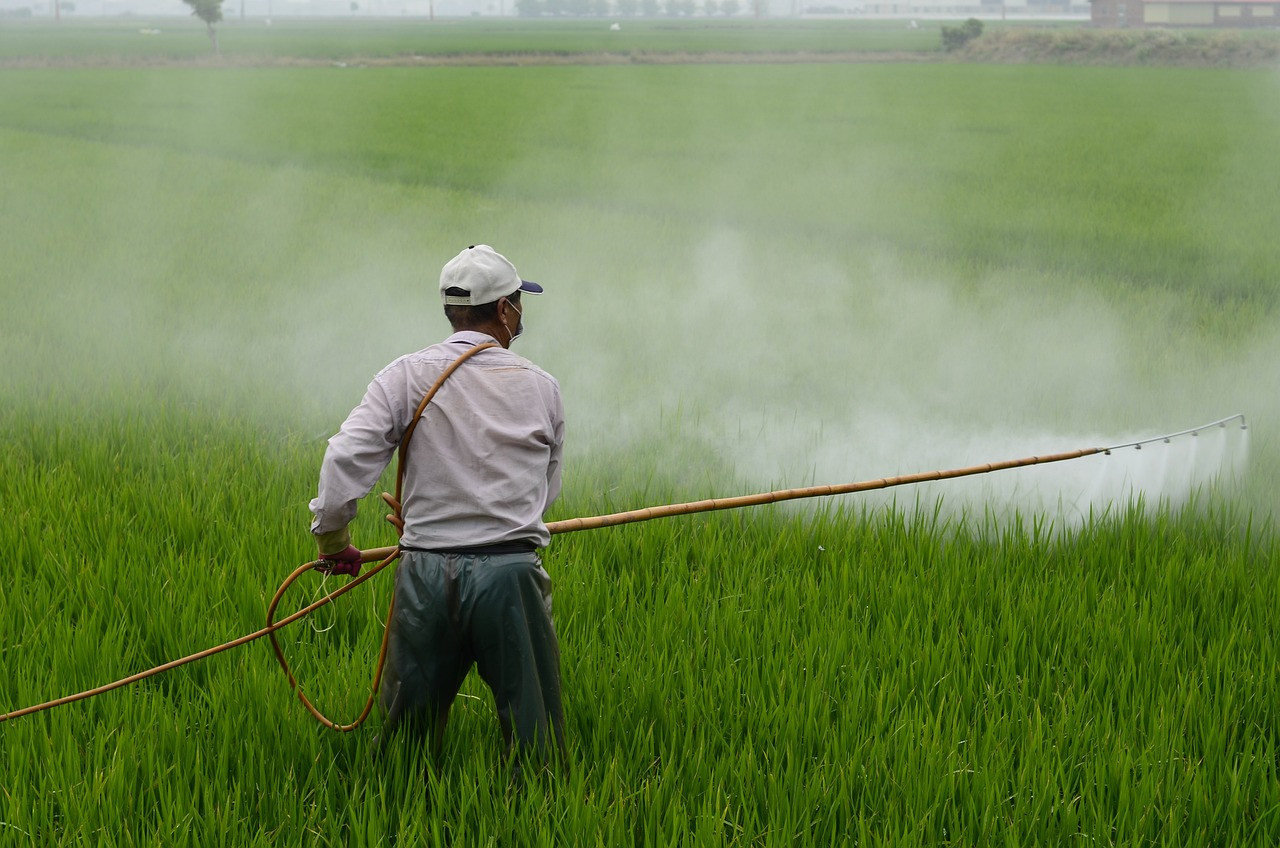 Sử dụng thuốc trừ sâu quá mức gây ô nhiễm đất và nguồn nước