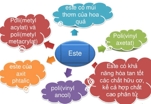Phản ứng este hóa