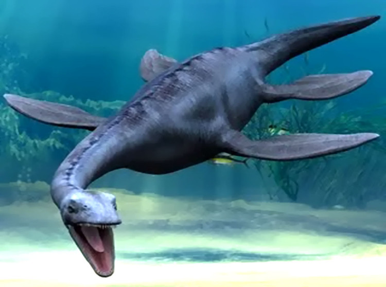 Hình ảnh một con Plesiosaurs, loài bò sát biển thống trị đại dương trong kỷ Jura.