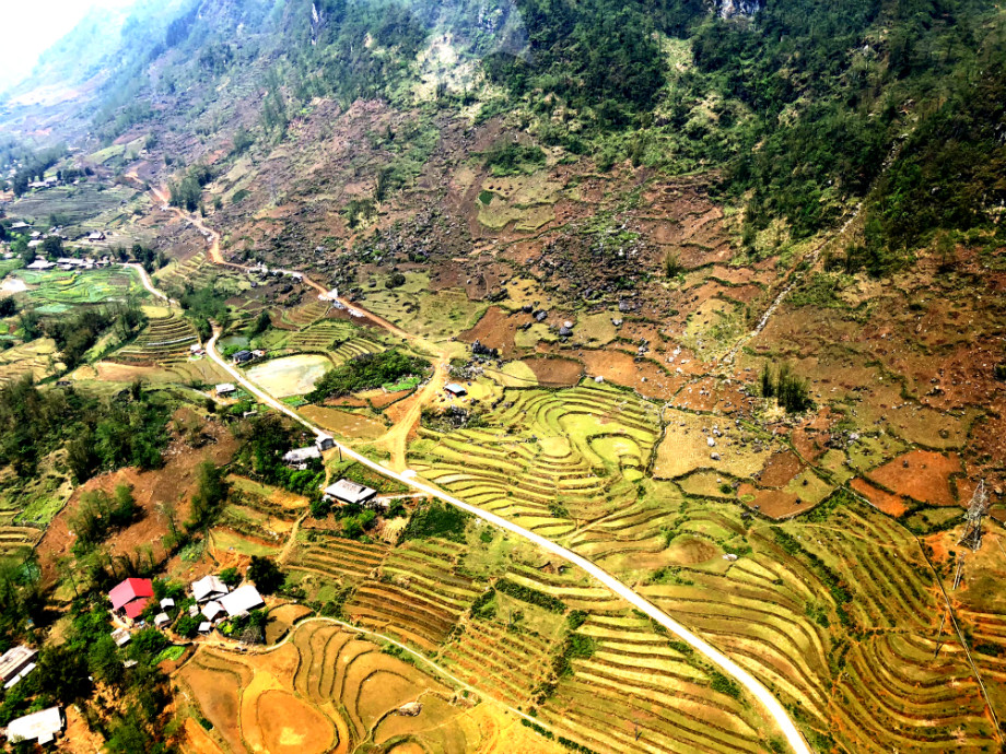 Một con đường mờ ảo trong sương sớm
