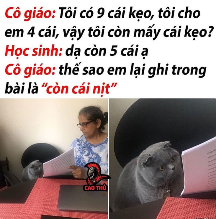 Hình ảnh dây nịt, biểu tượng cho sự mất mát và khởi đầu mới