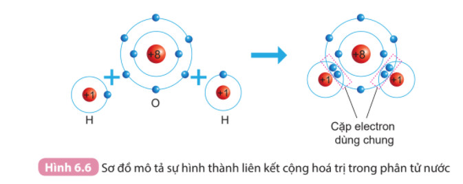 Phân tử oxy (O2) với liên kết đôi để mỗi nguyên tử oxy đạt được cấu hình octet