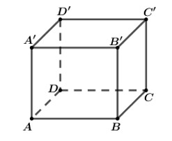 Hình lập phương ABCD.A'B'C'D' cạnh 1 với các đỉnh được ký hiệu rõ ràng, giúp dễ hình dung và phân tích các bài toán liên quan