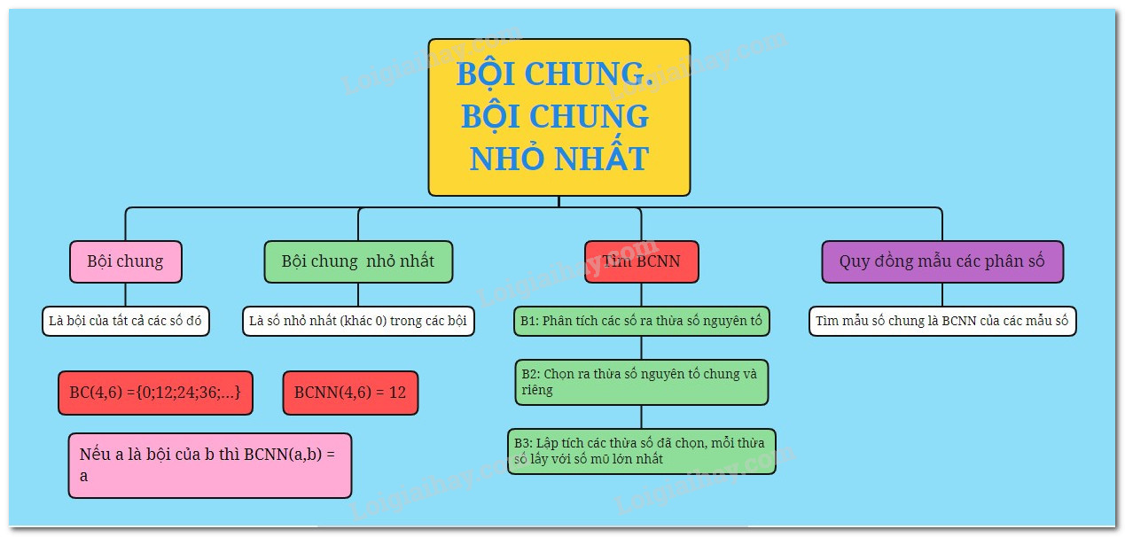 Các khái niệm cơ bản về bội và ước số
