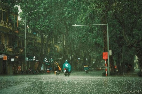 Cánh Đồng Sau Mưa