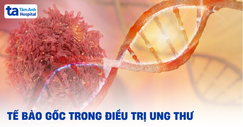Tế bào gốc và ứng dụng trong y học