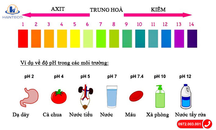 Thang đo pH với các mức độ axit, trung tính và bazơ
