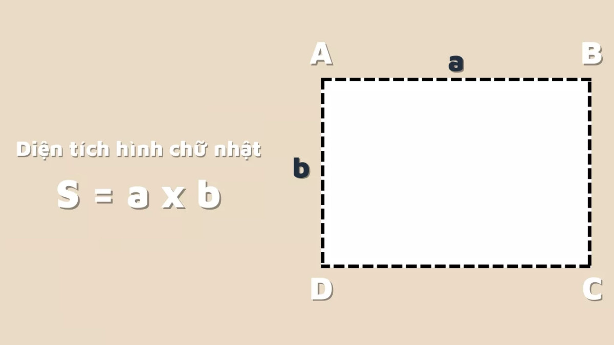 Hình ảnh minh họa hình chữ nhật với các thuộc tính cơ bản