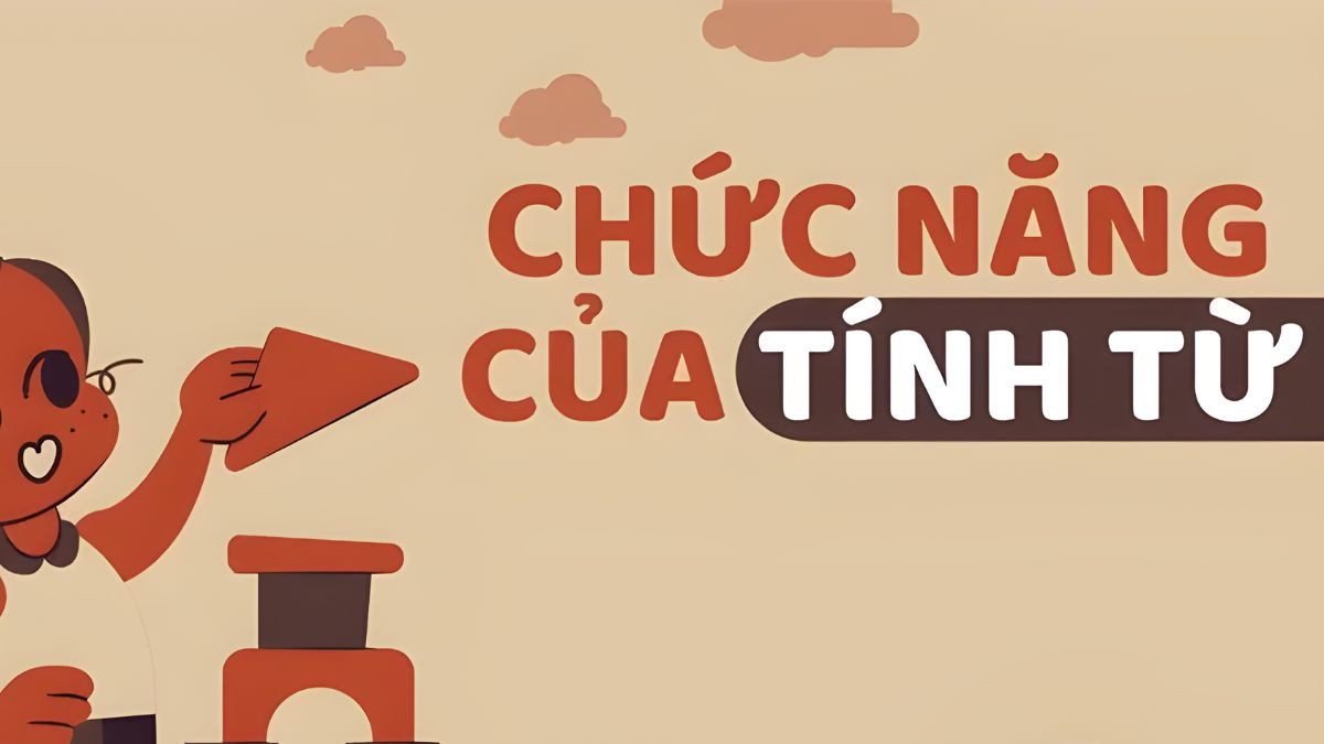 Chức năng của tính từ trong câu
