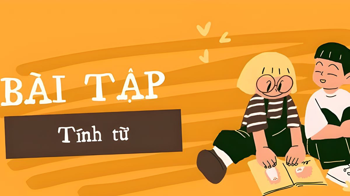 Ví dụ về tính từ trong bài tập