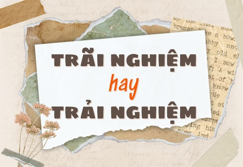 Sách giáo khoa các cấp