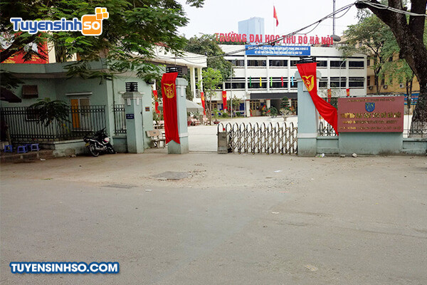 Sinh viên Đại học Thủ đô Hà Nội trong một buổi học nhóm, thể hiện tinh thần hợp tác và năng động
