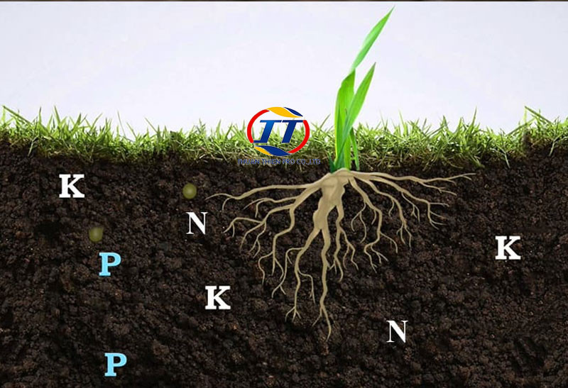 Vai trò của thành phần hữu cơ trong đất