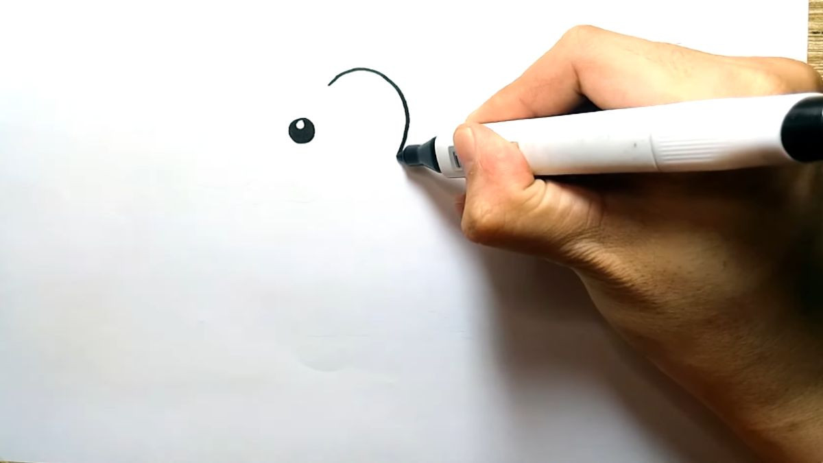 Vẽ đầu và tai voi con