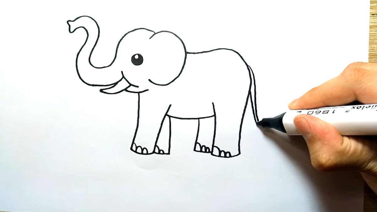 Vẽ đuôi voi con