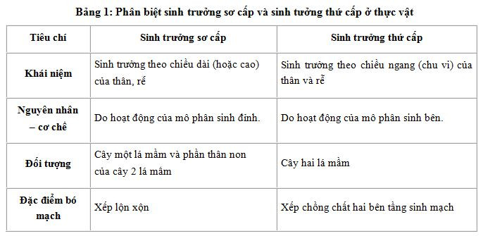 Mô tả sinh trưởng sơ cấp và sinh trưởng thứ cấp