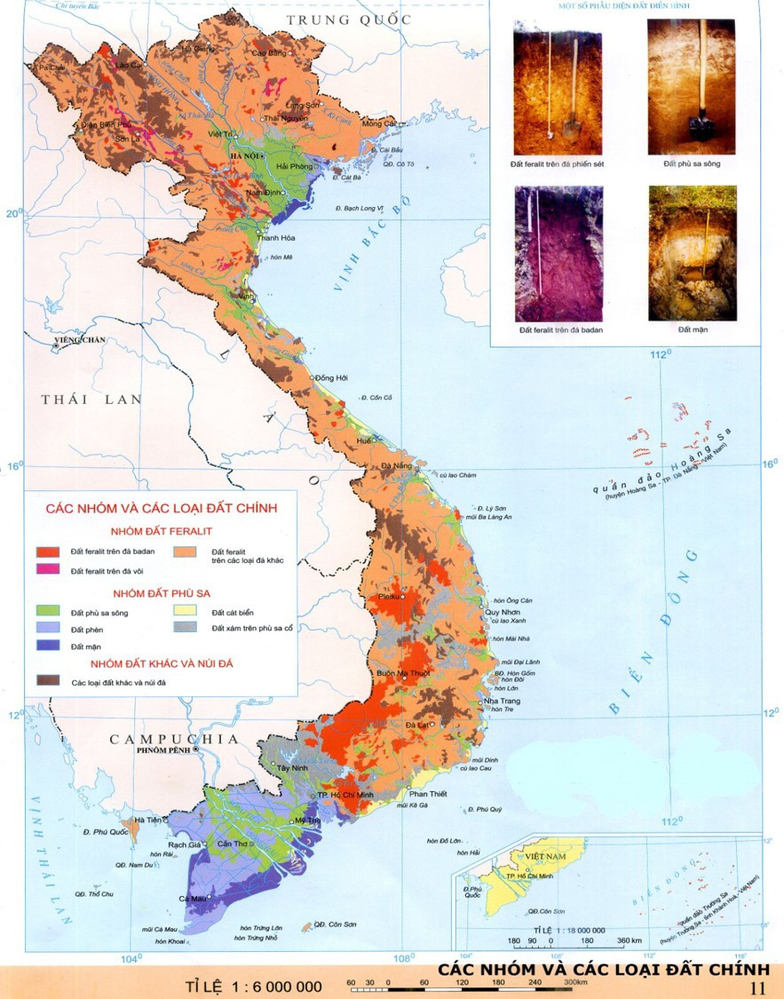 Đất cát pha ở dải đồng bằng ven biển Bắc Trung Bộ