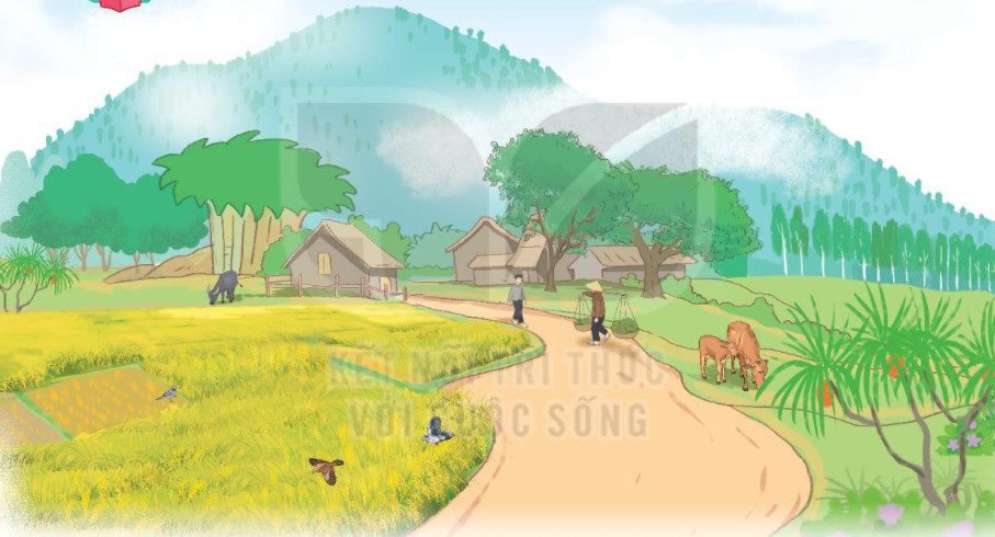 Núi quê hương vào mùa thu với sắc vàng rực rỡ, tạo nên khung cảnh nên thơ và trữ tình