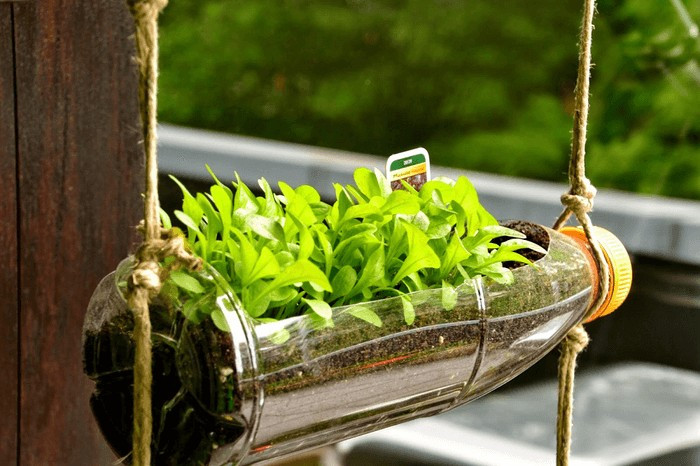 Sự nóng lên toàn cầu và tác động của nó