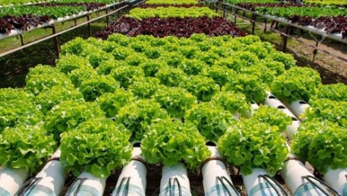 Đổi mới và sáng tạo để giải quyết biến đổi khí hậu