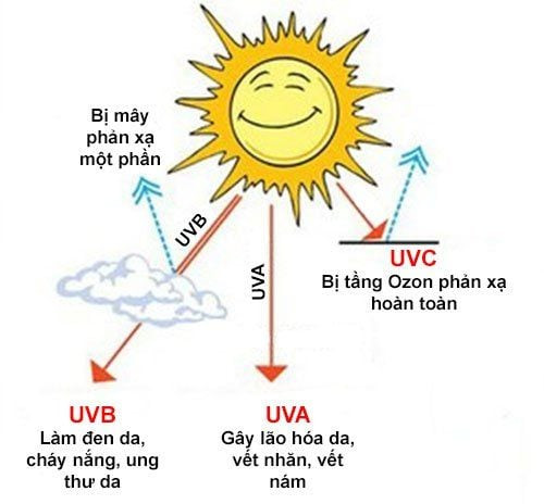 Tia UV và các loại tia UVA, UVB, UVC