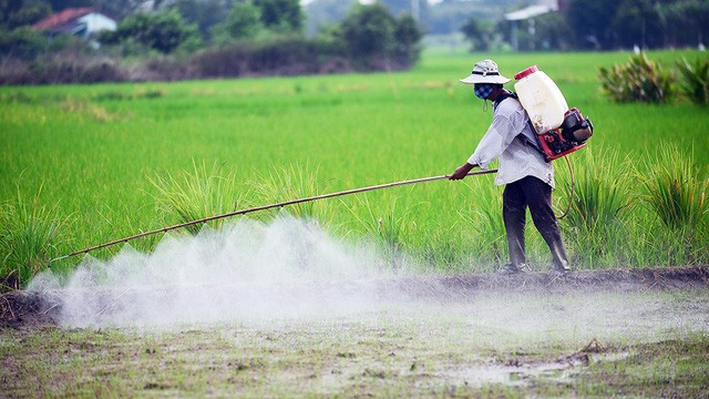Cấu tạo phân tử của Ancol Anlylic - C3H5OH