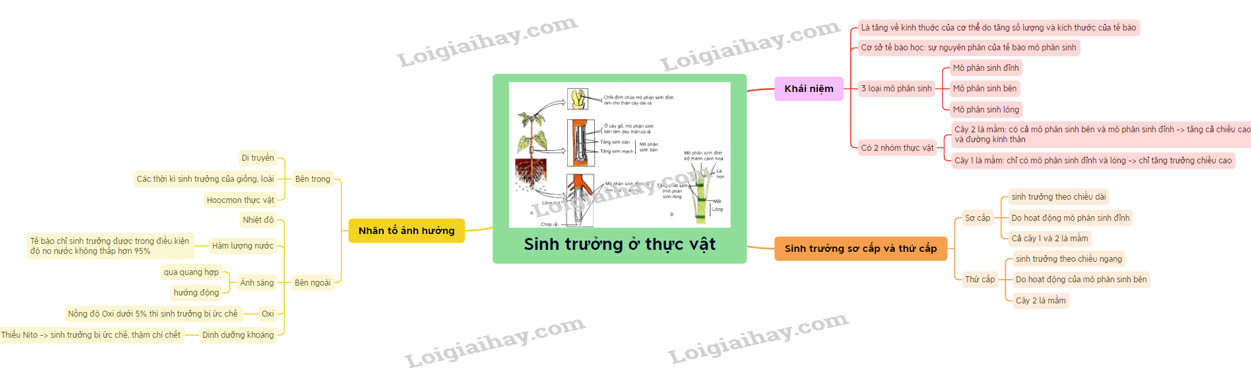 Các yếu tố ảnh hưởng đến sinh trưởng của thực vật