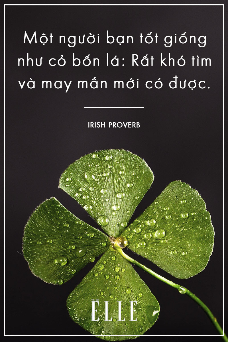 Hình ảnh hai người bạn thân đang đi dạo trong công viên