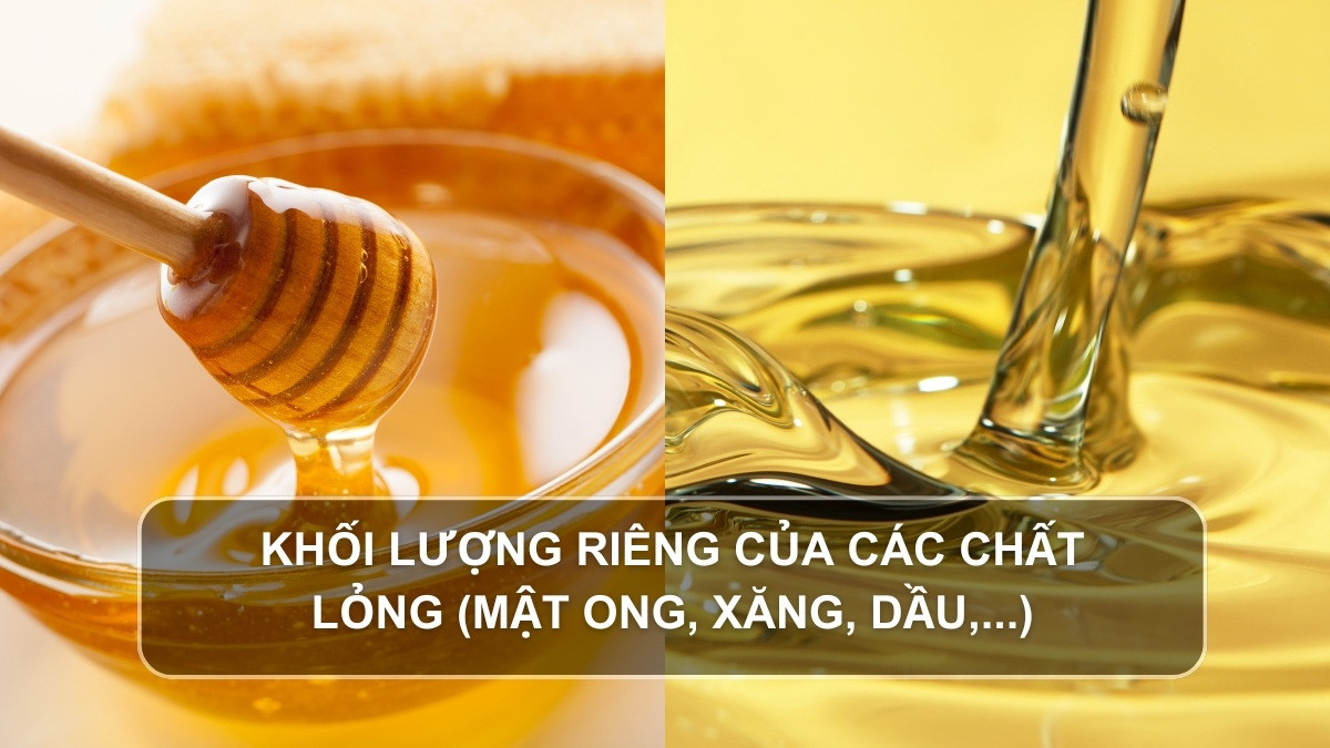 Bảng tổng hợp khối lượng riêng của một số chất