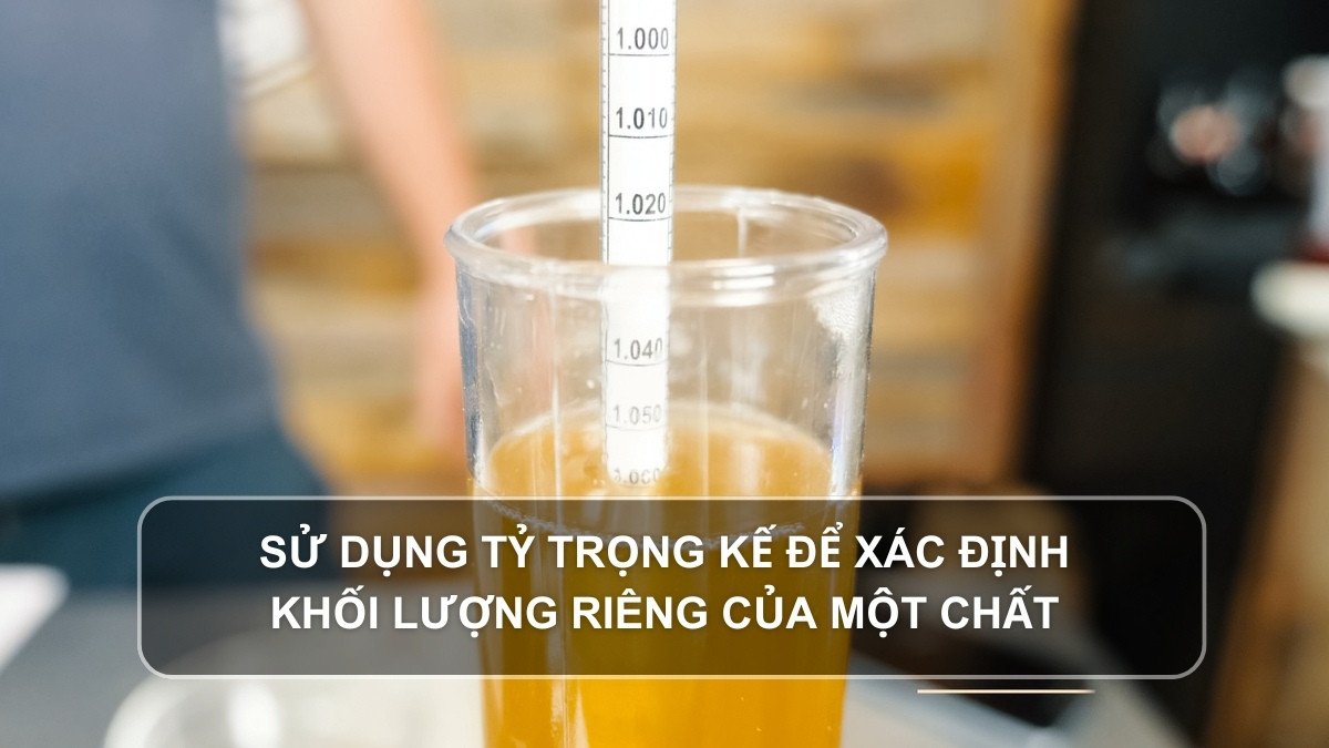 Hướng dẫn sử dụng tỷ trọng kế