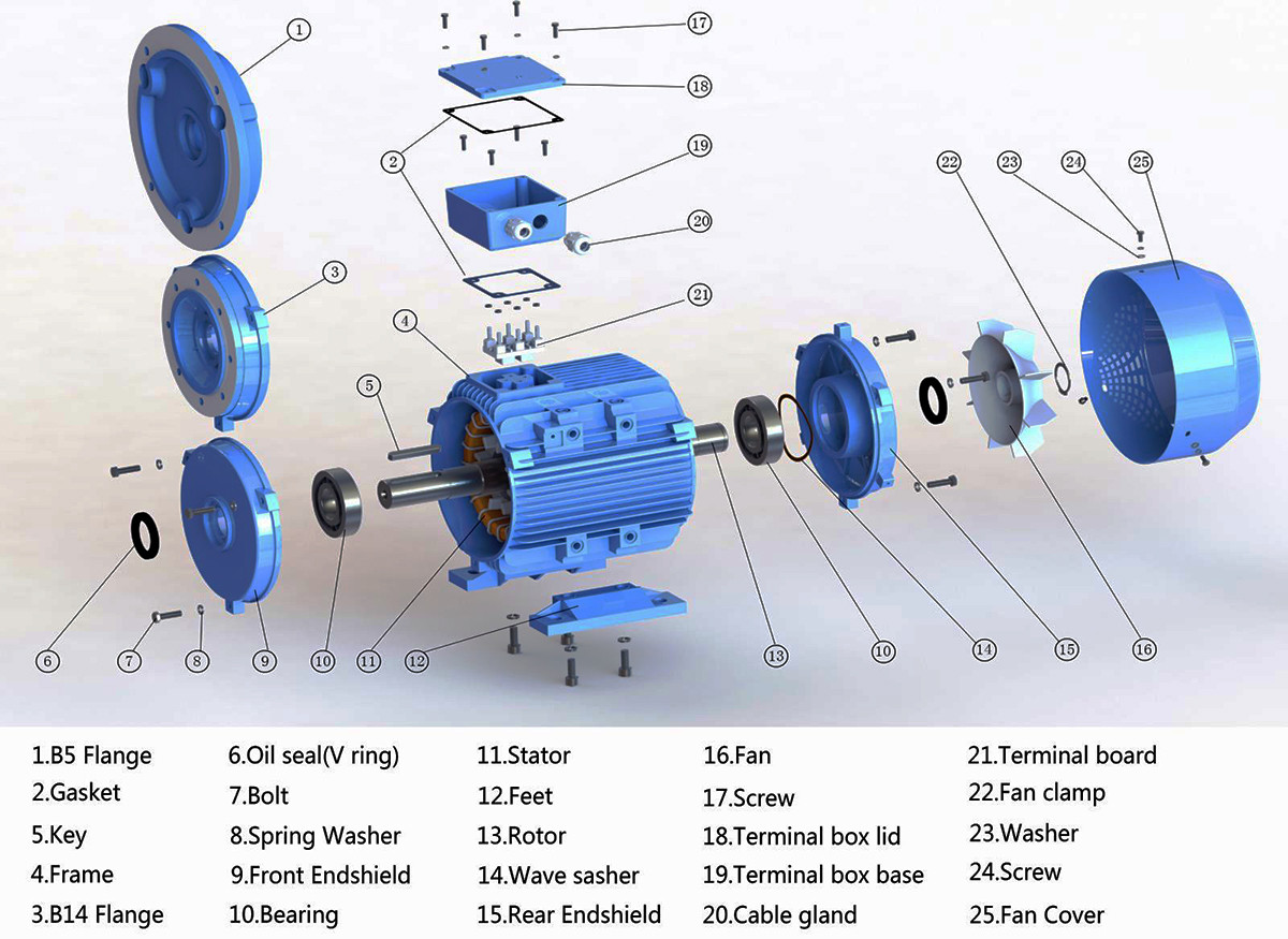 Rotor lồng sóc trong động cơ không đồng bộ ba pha, thể hiện cấu trúc đơn giản và độ bền cao của loại rotor này.