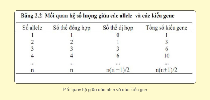 Hình ảnh minh họa về hiện tượng đa alen