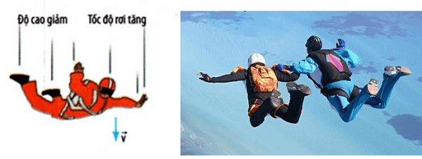 Ứng dụng cơ năng trong cuộc sống hàng ngày