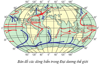 Sóng biển do gió thổi