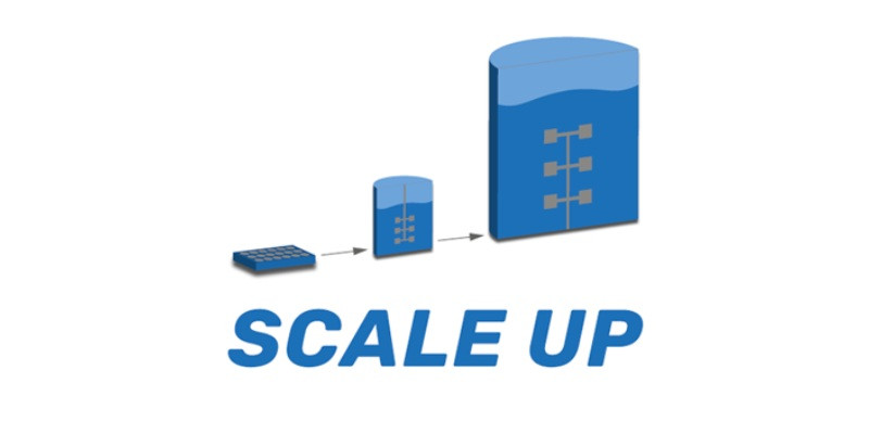 Nâng cấp RAM cho máy chủ là một hình thức scale up