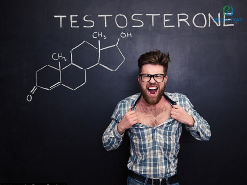 Tinh hoàn là cơ quan chính sản xuất testosterone ở nam giới, đảm bảo các chức năng sinh lý hoạt động bình thường