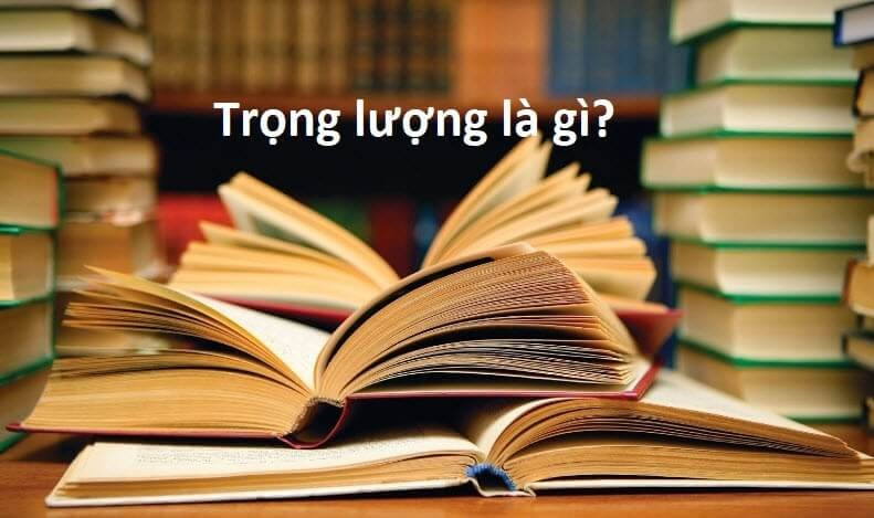 Hình ảnh minh họa khái niệm trọng lượng