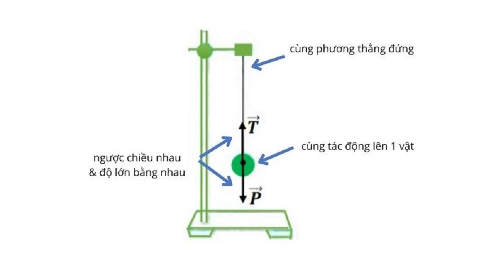 Minh họa các bước xác định hai lực cân bằng